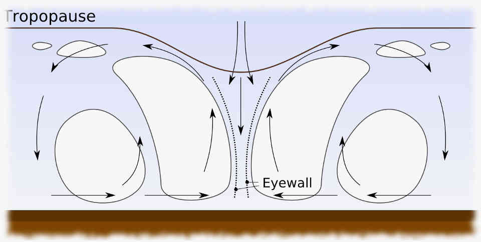 Hurricane Profile